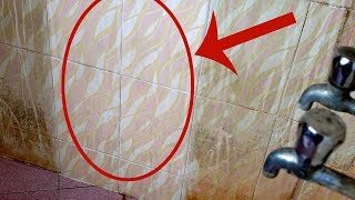 How to Clean Bathroom Tiles Easily  Tips for Cleaning Bathroom [upl. by Anadal536]