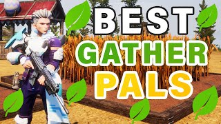 Best GATHERING Work Pals to Use in your base ► Palworld [upl. by Ahseined241]