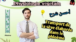 Physiologie Végétale en Arabe Transport de la sève élaborée dans le phloème en Arabe SVI S4 [upl. by Mook]