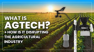 What is AgTech  The Technology Thats Disrupting the Agricultural Industry  INCYT [upl. by Hoo954]