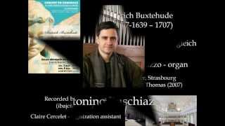 Buxtehude Lob Gott ihr Christen allzugleich BuxWV 202 Antonino Buschiazzo  organ [upl. by Palmira]