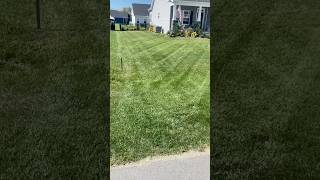 Toro Grandstand putting in work lawncare stripes oddlysatisfying [upl. by Standley190]