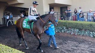 Bob Baffert Trained Filly Wins With Ease in Race 8 at Del Mar [upl. by Eecram]