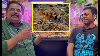 TALKING INDIAN NATIVE FISH with Mayur Dev Aquascaper  Indian Fish Room [upl. by Chenee]