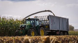 Maishäckseln 2024 auf Hof Eberle  Claas Jaguar 980 mit John Deere Fendt Case und Pistenbully  4K [upl. by Adiam719]