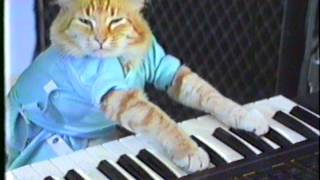 Keyboard Cat Plays Off Mayor Ford [upl. by Flossy]