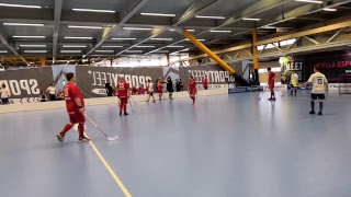 Erityisryhmien salibandy SM 2019 finaali [upl. by Iphagenia]