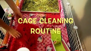 Cage cleaning routine [upl. by Yecak]