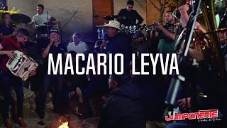 LaImponente  Macario Leyva  Musical En Vivo [upl. by Raskind671]