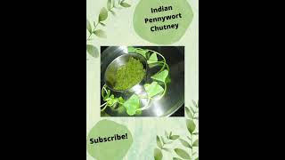 Indian Pennywort Vallarai Gotu Kola Mandukaparni Chutney [upl. by Nagad93]