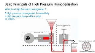 Bioprocessing Part 2 Separation  Recovery [upl. by Romulus416]