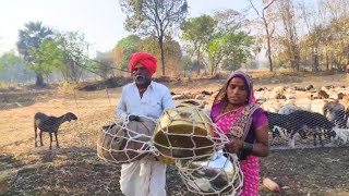 सकाळीसकाळी नवीन शेतात वाडा बदलून दिवसभराच्या कामासाठी सज्य 😊👍  dhangari jivan  sidu hake [upl. by Stelu]