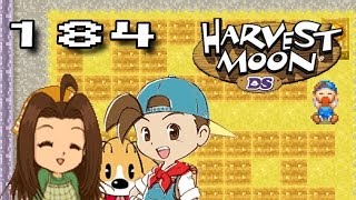 Harvest Moon DS ≡ Nüs Felt【184】 Lets Play【DeutschHD】 [upl. by Nryhtak]