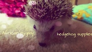 African pygmy hedgehog supplies [upl. by Dinsmore]