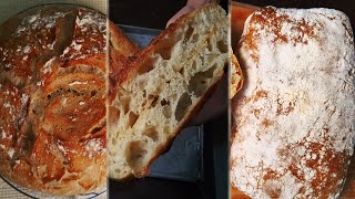 Italian No Knead Bread Series  Low Ingredients Every One Can Make These Homemade Bread [upl. by Brandais]