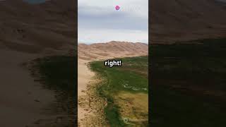 THE SAHARA DESERT SHOCKING GREEN PAST😲🕊️🤒information trending education motivation facts [upl. by Naga]