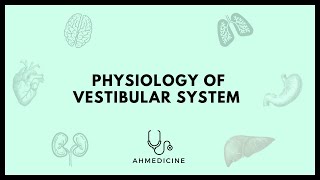 Physiology of vestibular system [upl. by Mumford]