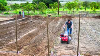 Saddleback Churchs Organic Farm in Orange County [upl. by Aitnwahs]