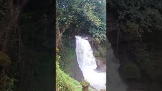 Harvalem Waterfalls  Goaharvalemwaterfallsbimalansusen [upl. by Starks]