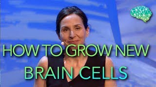 Its possible to Grow New Brain Cells Heres how to do it  Sandrine Thuret [upl. by Temhem]