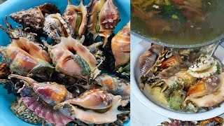 The best way to cook Spider Shell  Saang Seafood recipe [upl. by Eradis]