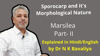 Sporocarp and its Morphological Nature of Marsilea by Dr N K Bavaliya Principal Govt Science College [upl. by Yhtamit175]