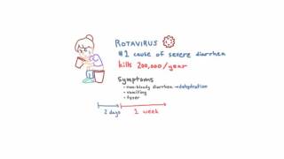 Rotavirus  Epidemiology Clinical Presentation and Prevention [upl. by Stern]