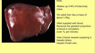 GCSE Biology Metabolism and the liver [upl. by Shaughn]