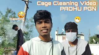 Cage cleaning video 😁 in PGNs house 🕊️ videos tamil puravida pura cleaning cage pgn ytviral [upl. by Eniretak]