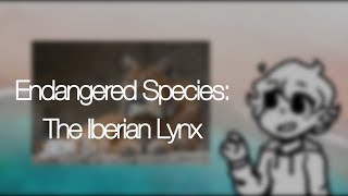 The Iberian Lynx [upl. by Solracesoj]