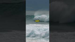 Experience OAHU HAWAII Like a Local in 60 Seconds [upl. by Tenej]