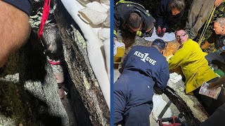 Photos Boy gets stuck between boulders near New Hampshire school [upl. by Rolyak36]