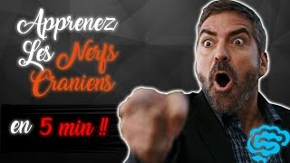 🔴 NE CONFONDEZ PLUS LES NERFS CRANIENS  part2  DR ASTUCE [upl. by Nodnar]