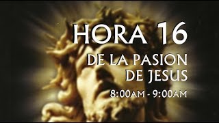 16 de 24 I Horas de la Pasión de Jesús Luisa Piccarreta Divina Voluntad [upl. by Daus]