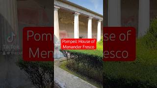 Pompeii House of Menander Fresco pompeii ancienthistory architecture art [upl. by Sassan]