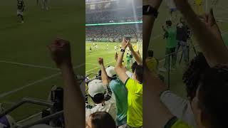 Gol do Palmeiras contra o Cruzeiro na final do campeonato Brasileiro Sub20 [upl. by Aillil340]