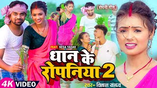 VIDEO  धान के रोपनिया 2  VishalYadav  Dhan Ke Ropaniya 2 Ft NesaYadav New Ropani Song 2023 [upl. by Yelrihs]