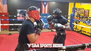 Pivot Boxing Academy Sparring Wars [upl. by Rusel370]