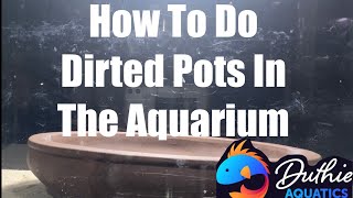 How to Create a Lush Aquarium with Dirted Pots StepbyStep Guide [upl. by Llednov]