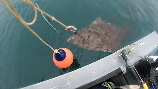 Yakutat Alaska Halibut [upl. by Zebapda33]