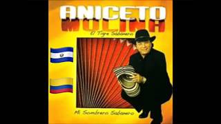 Aniceto Molina La Cumbia Sampuesana [upl. by Levison967]