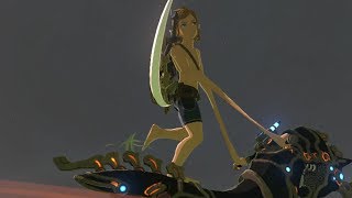 腕長リンクバグ【ゼルダBotW】 [upl. by Releehw]