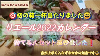 【多肉通販】リエール2022カレンダー待てる人セットの紹介です😆 [upl. by Deidre]