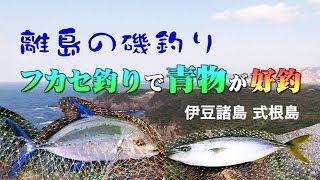 離島の磯釣り青物好釣（伊豆諸島 式根島）Surffishing [upl. by Gotcher]