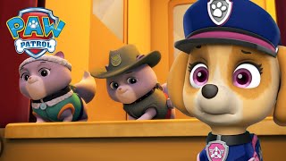 Misja ratunkowa pieski ratują królewskie kocięta  Psi Patrol PAW Patrol po polsku [upl. by Adihaj]