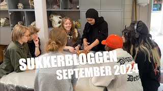 Sukkerbloggen  September 2024 [upl. by Eelrehpotsirhc]