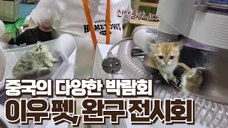 중국에서 캔톤페어 이우시장 말고도 다양한 박람회가 있다 직접 다녀왔습니다 [upl. by Weiman]