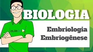 Biologia  Embriologia Embriogênese [upl. by Ludly]