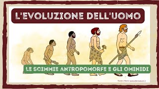 LE SCIMMIE ANTROPOMORFE e gli OMINIDI videolezione di storia con mappe e schede classeterza [upl. by Ecirpak]