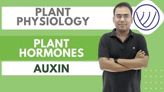 Plant Hormones  Phytohormones  Plant Growth Regulators  CSIR  GATE  SET  NILESH SONI [upl. by Yatnoed780]